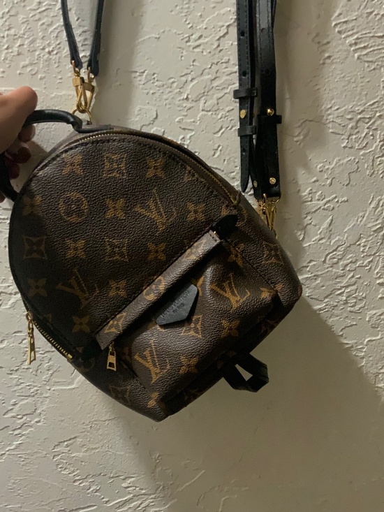 Louis Vuitton Palm Springs Mini Backpack